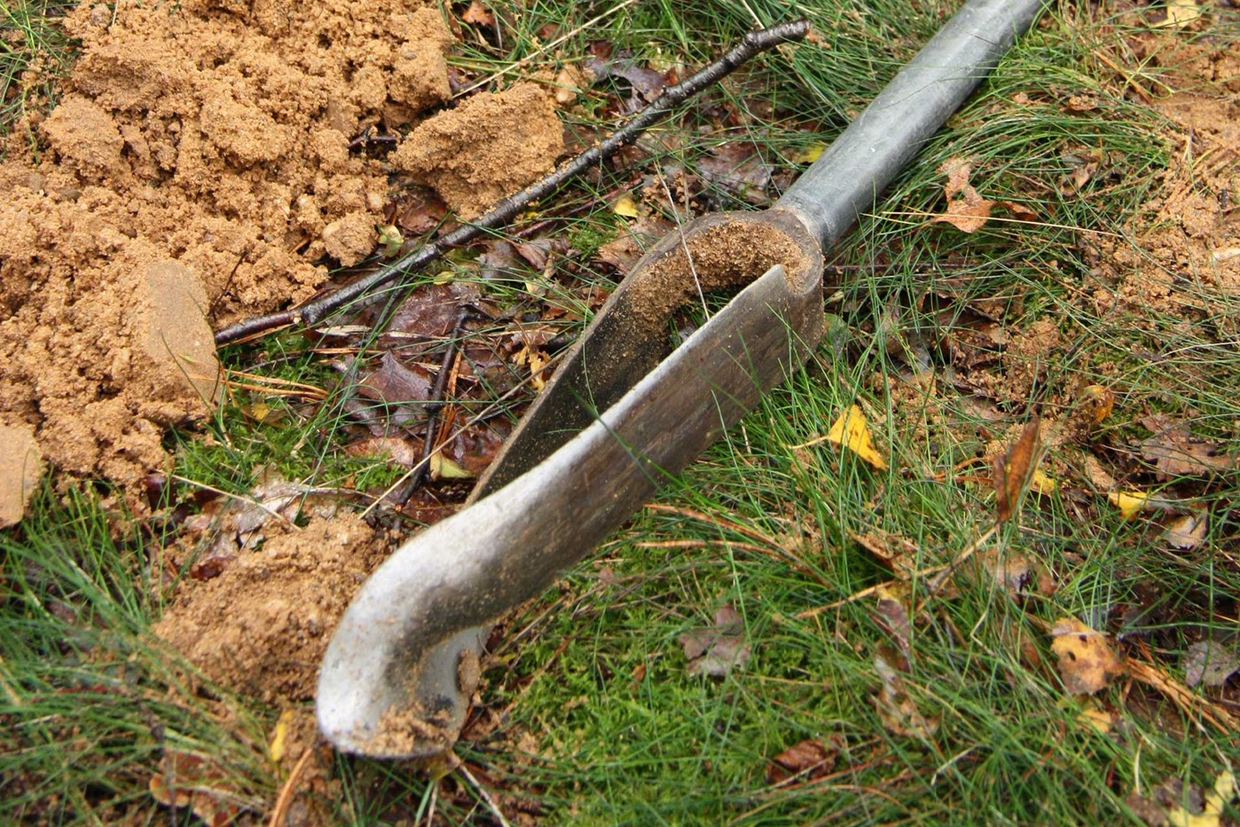 Soil Sampling